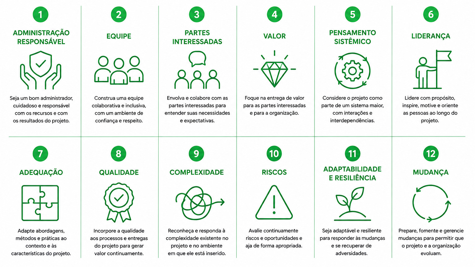 Visão Geral dos 12 Princípios do PMBOK